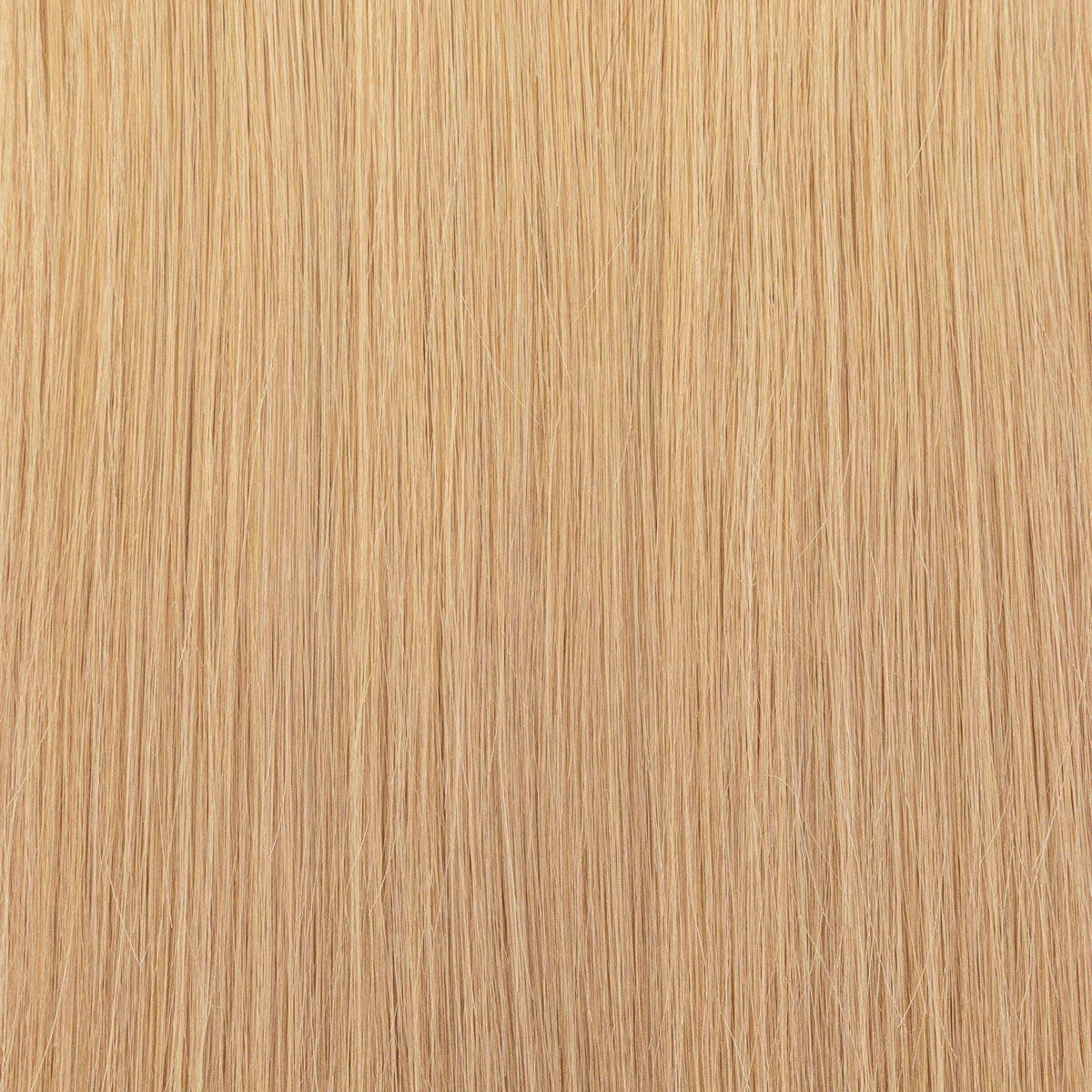 Genius Weft sandblond #17