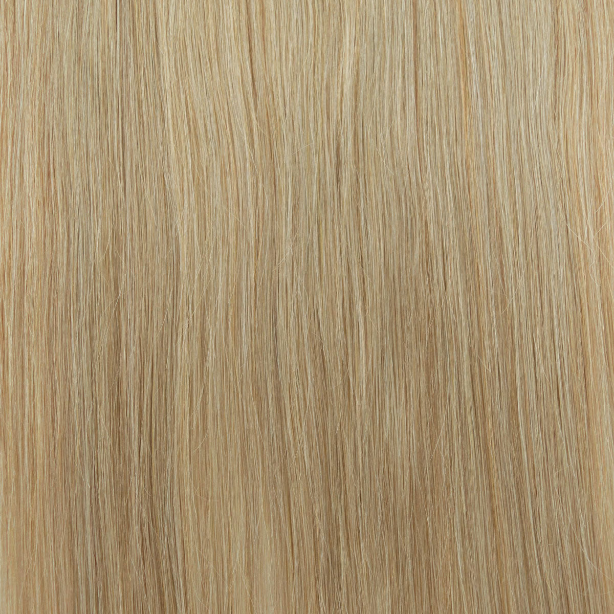 Ponytail naturblond #20